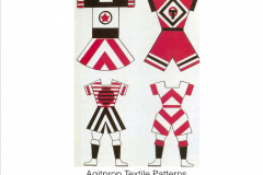 Agitational Textiles (Popova)